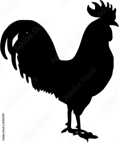 Print op canvas Black Cock