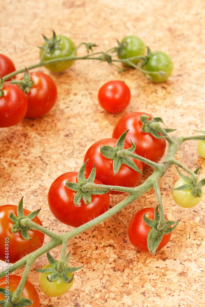 fresh tomatoes fresh tomatoes
