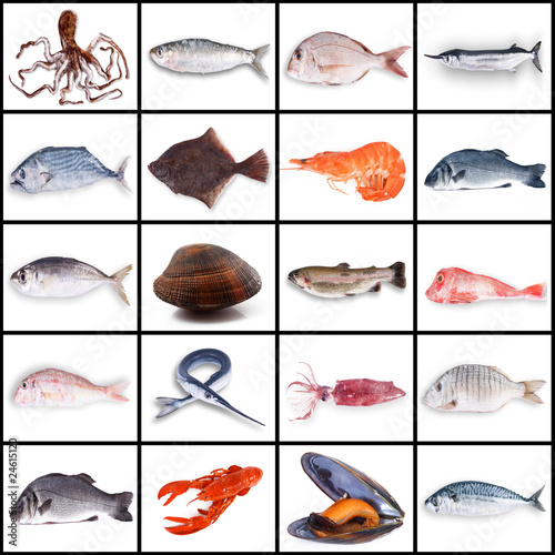 pesci collage photo