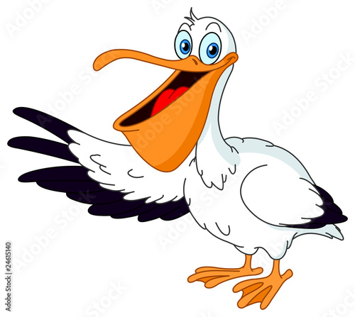 Foto Pelican