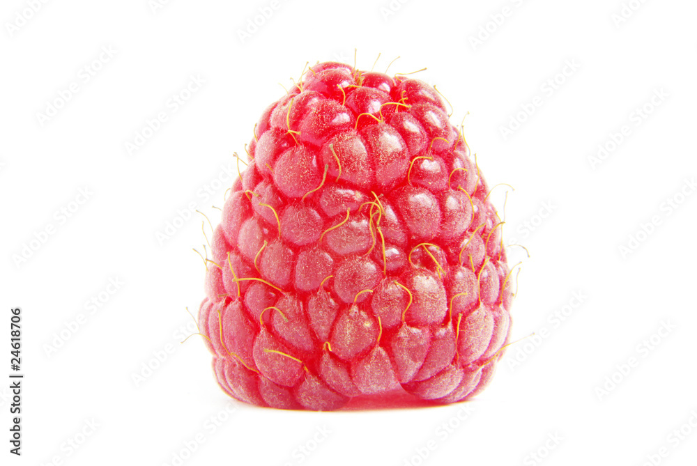 raspberry raspberry