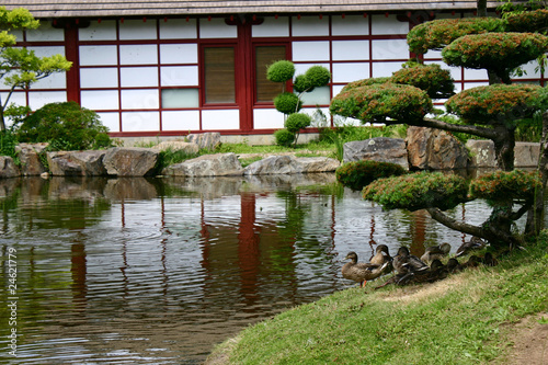 jadin japonais photo