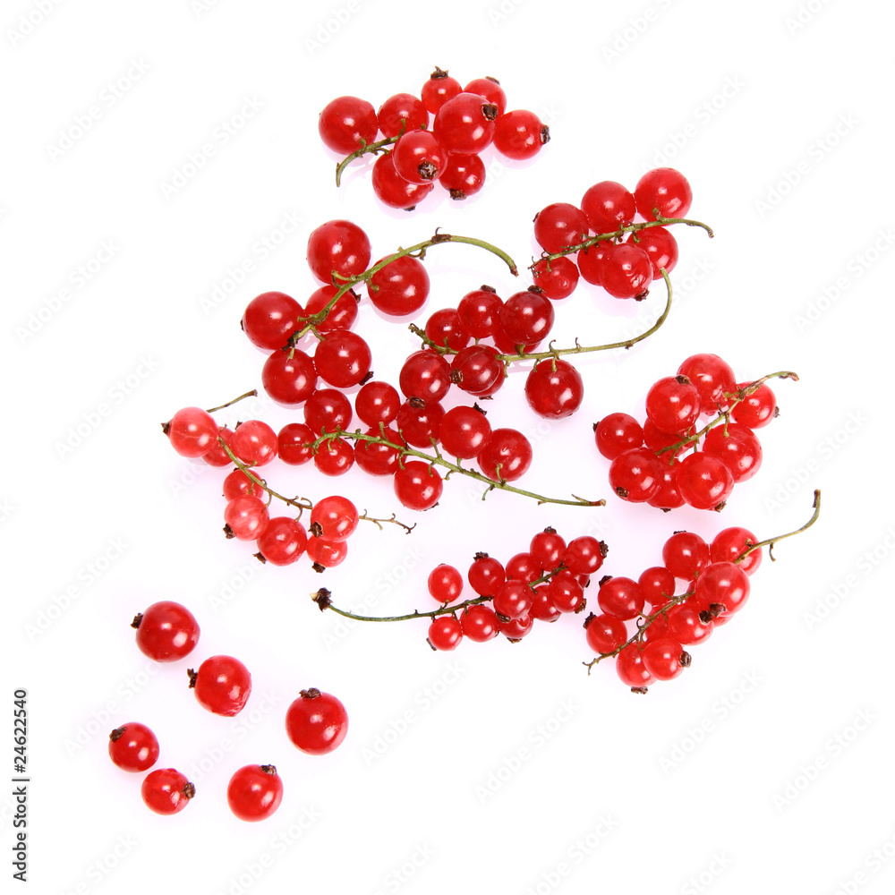 Red Currant: bunch of fruit on white background Red Currant: bunch of fruit on white background