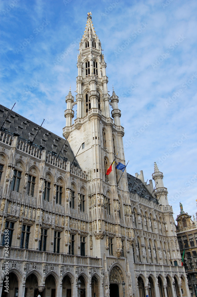 Fototapeta premium Town Hall - Brussels, Belgium
