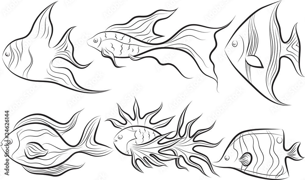 fishes set fishes set
