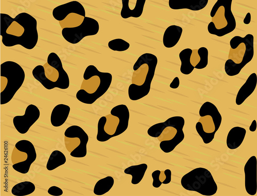 leopard