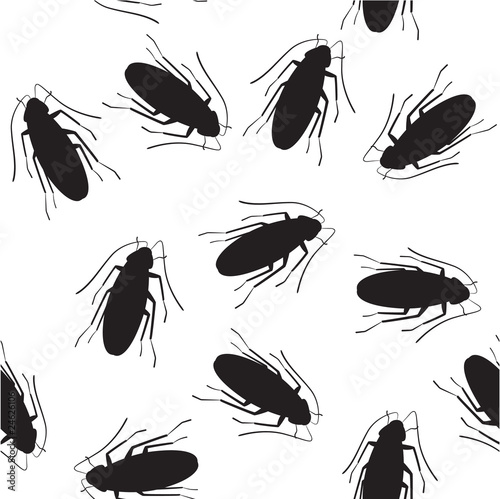 cockroach2