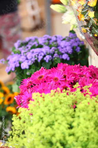 flowers closeup