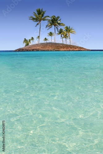 Paradise palm tree island tropical turquoise beach #24626975