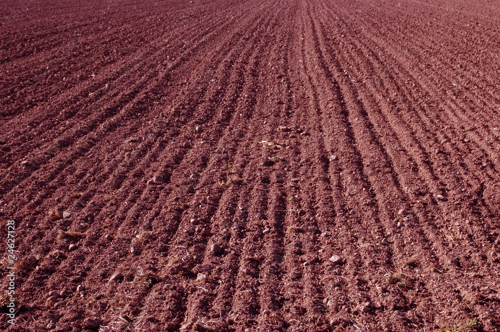 Arable. Arable.