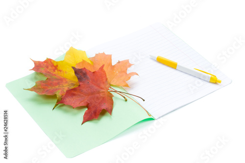 Writing-book, pen and autumn leaves