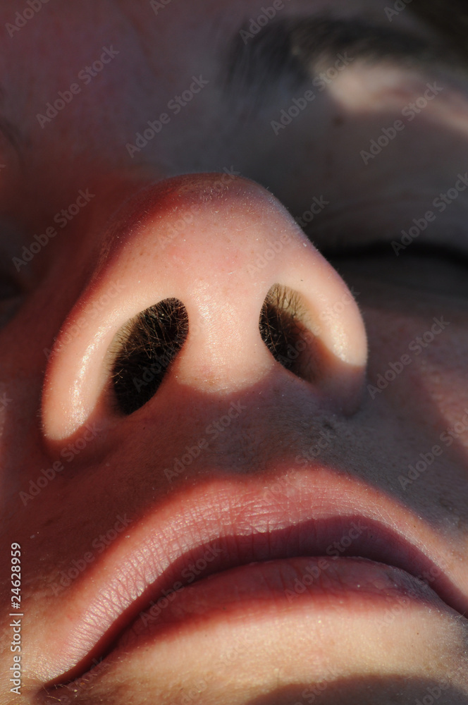 The nose The nose