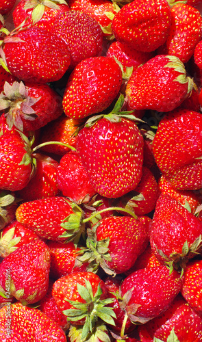 strawberry.background