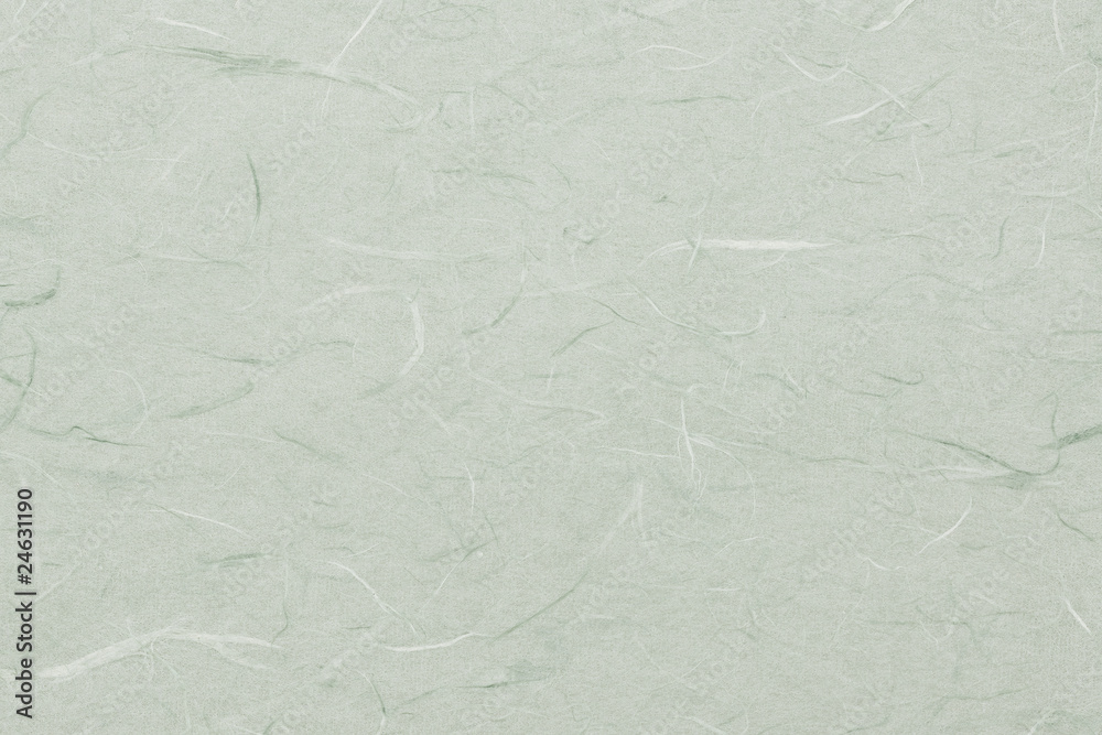 Obraz premium 和紙