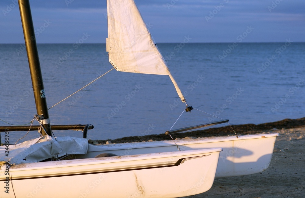 Obraz premium CATAMARAN EN UNA PLAYA