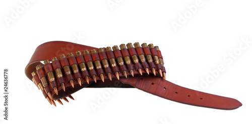 Cartridge belt