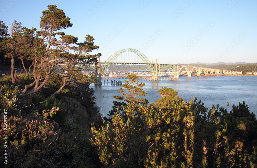 Fototapeta premium Bridge over River at Twilight