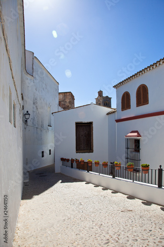 Fototapeta Naklejka Na Ścianę i Meble -  Calle con macetas en Arcos de la Frontera, Cadiz