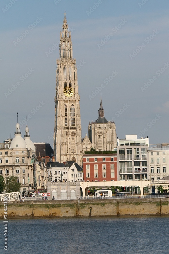 Fototapeta premium Cathedral of Antwerp by the river Schelde