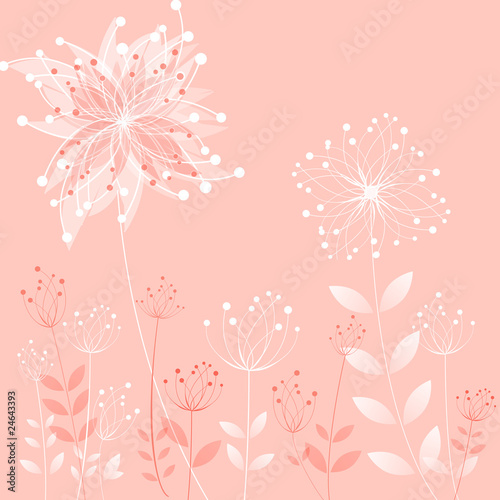 Fleurs des champs