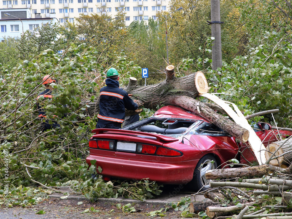 Fototapeta premium Hurricane in City