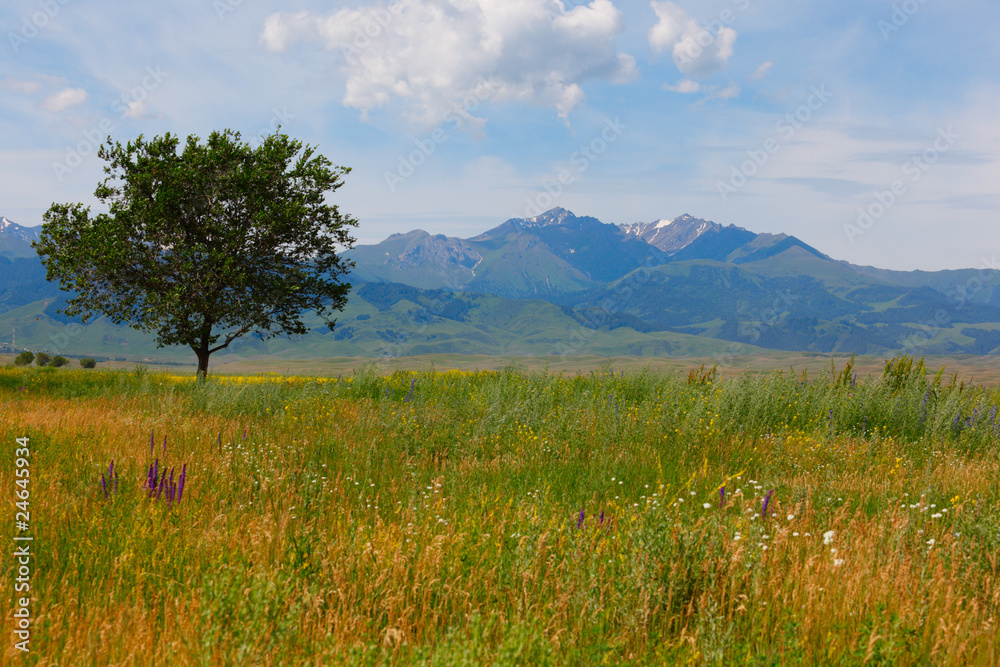 landscape landscape