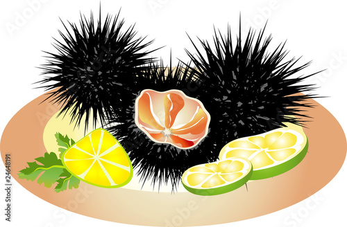 Black sea urchin