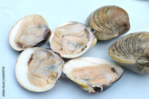 Raw Clams on the Half Shell