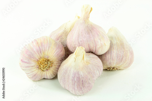 Argentinean Garlic.