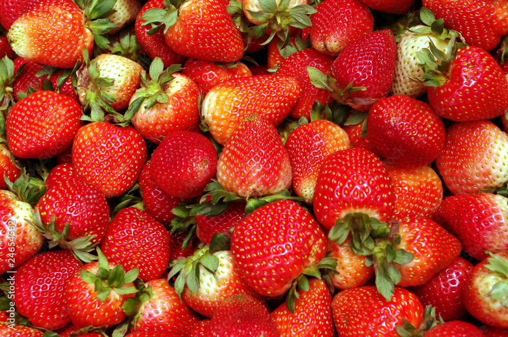 erdbeeren erdbeeren