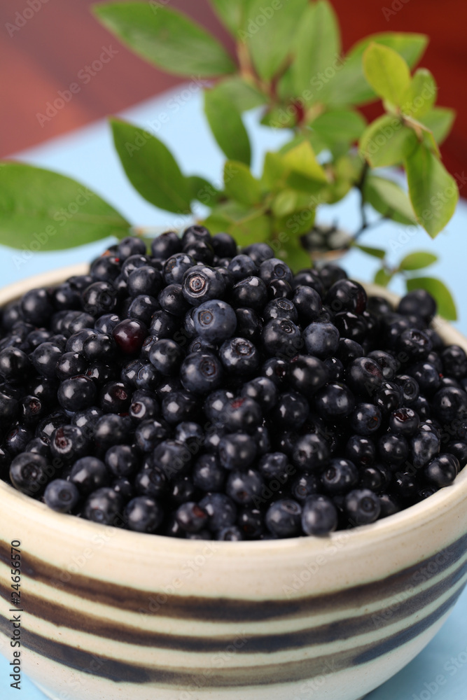 Blueberries Blueberries