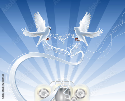 Wedding doves