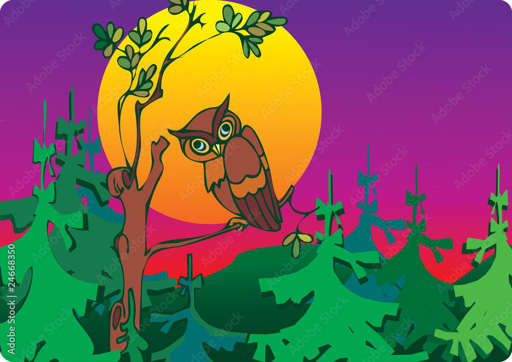 Fototapeta premium Owl in woods. Place for your text. Vector art-illustration.