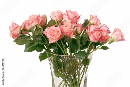 pink roses in posy