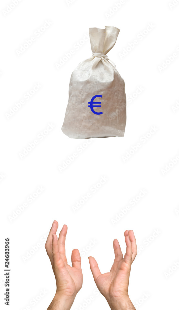 Bag with euro