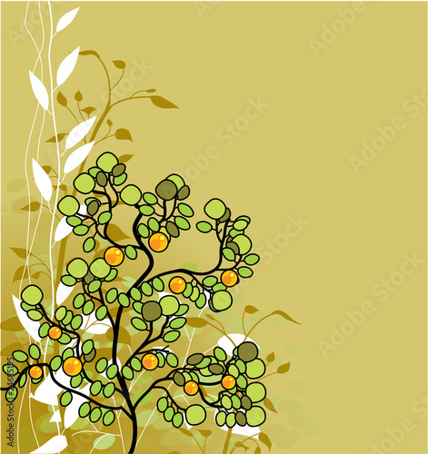 orange tree