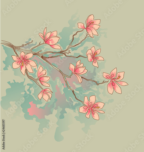 Fototapeta kwiat wzór natura obraz magnolia