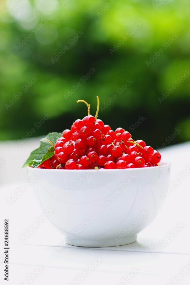 Johannisbeeren Johannisbeeren