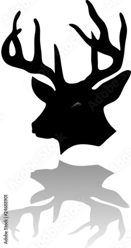 deers head