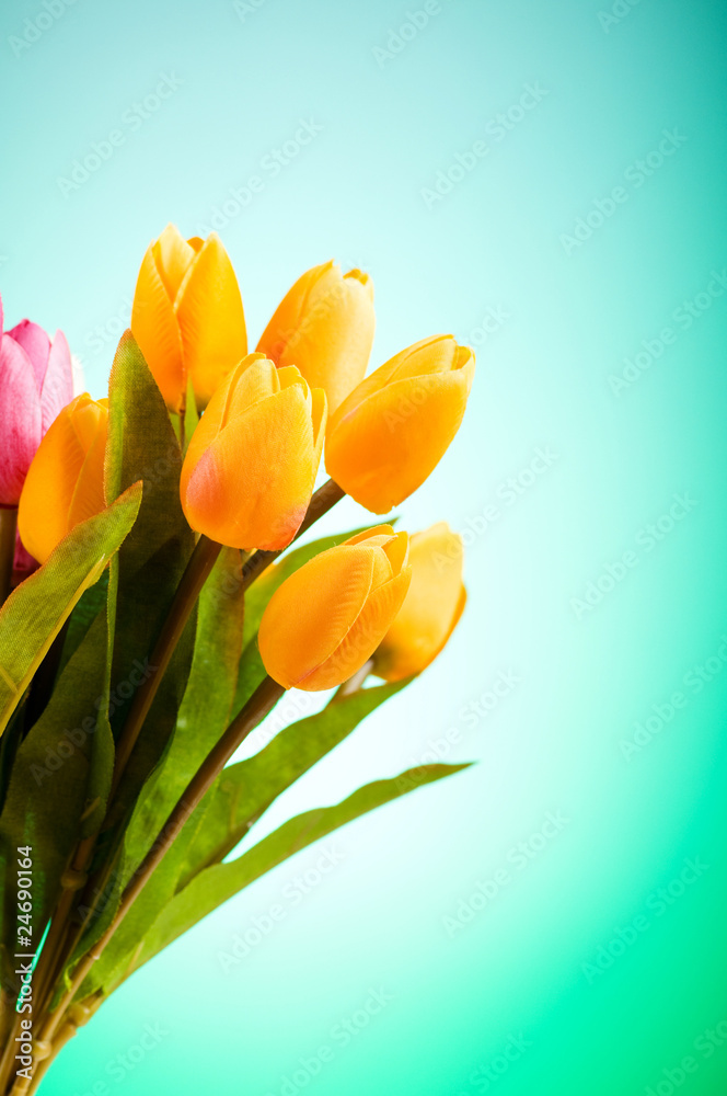 Bouquet of colorful tulips on the table Bouquet of colorful tulips on the table