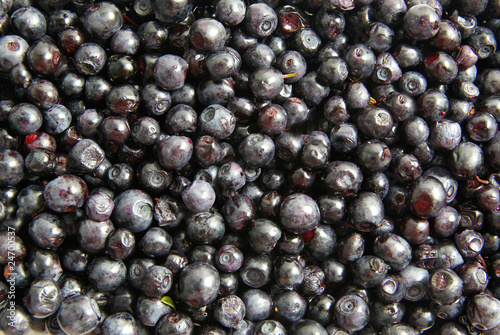 blueberry background