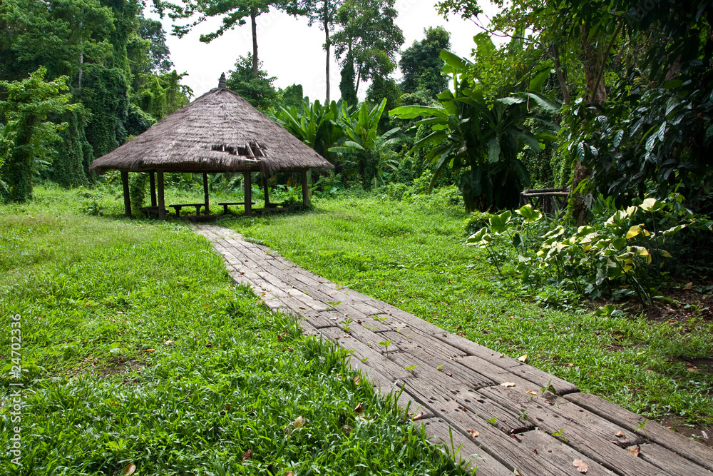 Image of foot path Image of foot path