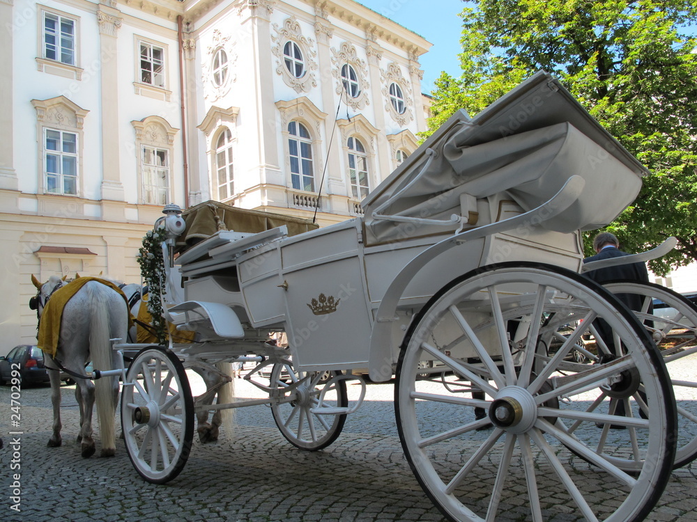 Fototapeta premium weiße hochzeitskutsche