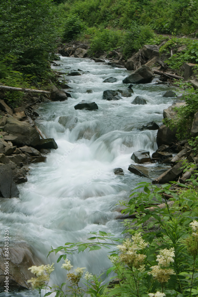 Fototapeta premium stream