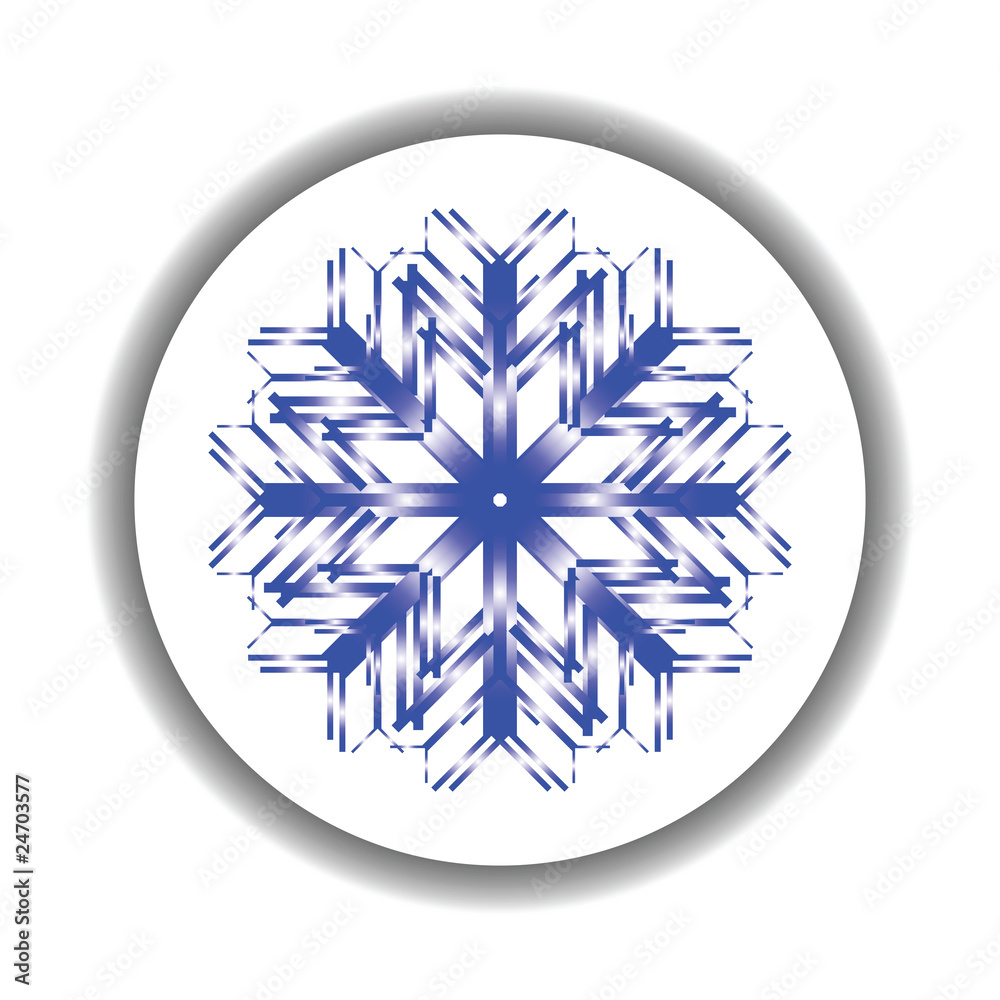snow flake medallion snow flake medallion