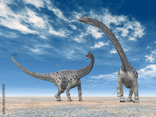 Diplodocus © Michael Rosskothen
