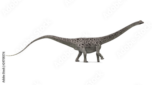 Fotografía Diplodocus