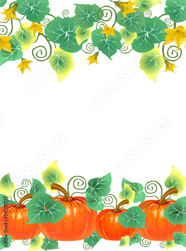 Pumpkins with flowers