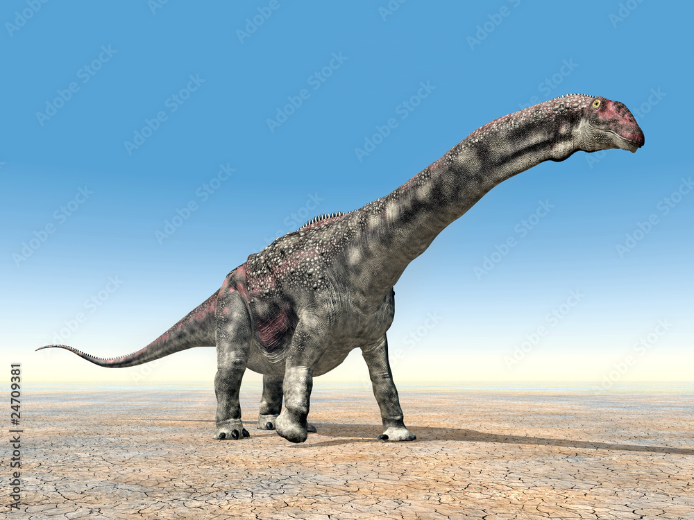 Fototapeta premium Diamantinasaurus