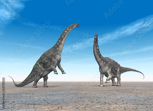 Fototapeta Naklejka Na Ścianę i Meble -  Diamantinasaurus